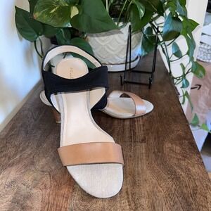 Pelle Moda Womens Black/Brown Open Toe Open Kitten Heel Stretchy Straps‎ Size 7